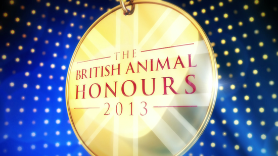 British Animal Honours: Braveheart Award Winner